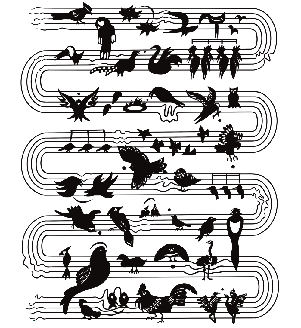 Mirlo t-shirt design in black. Abstract birds and music notes flow on squiggly lines that look like sheet music.