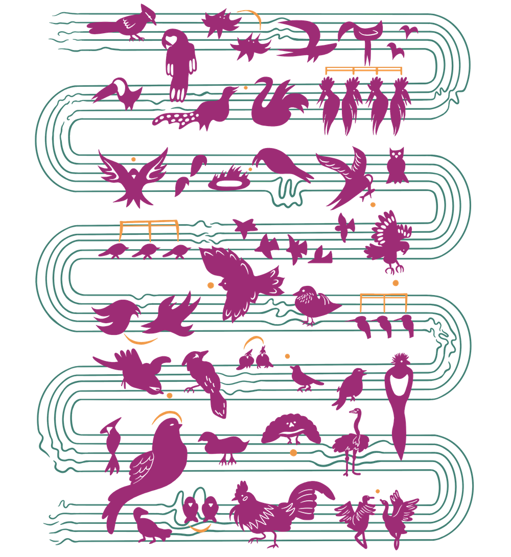 Mirlo t-shirt design in magenta, green, and yellow. Abstract birds and music notes flow on squiggly lines that look like sheet music.